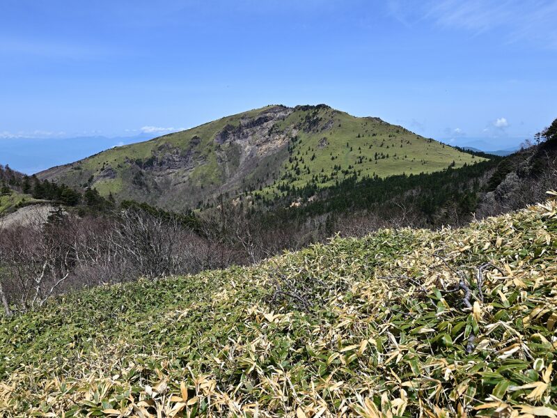 群馬県の出張買取・リサイクル家具・家電からブランド品まで